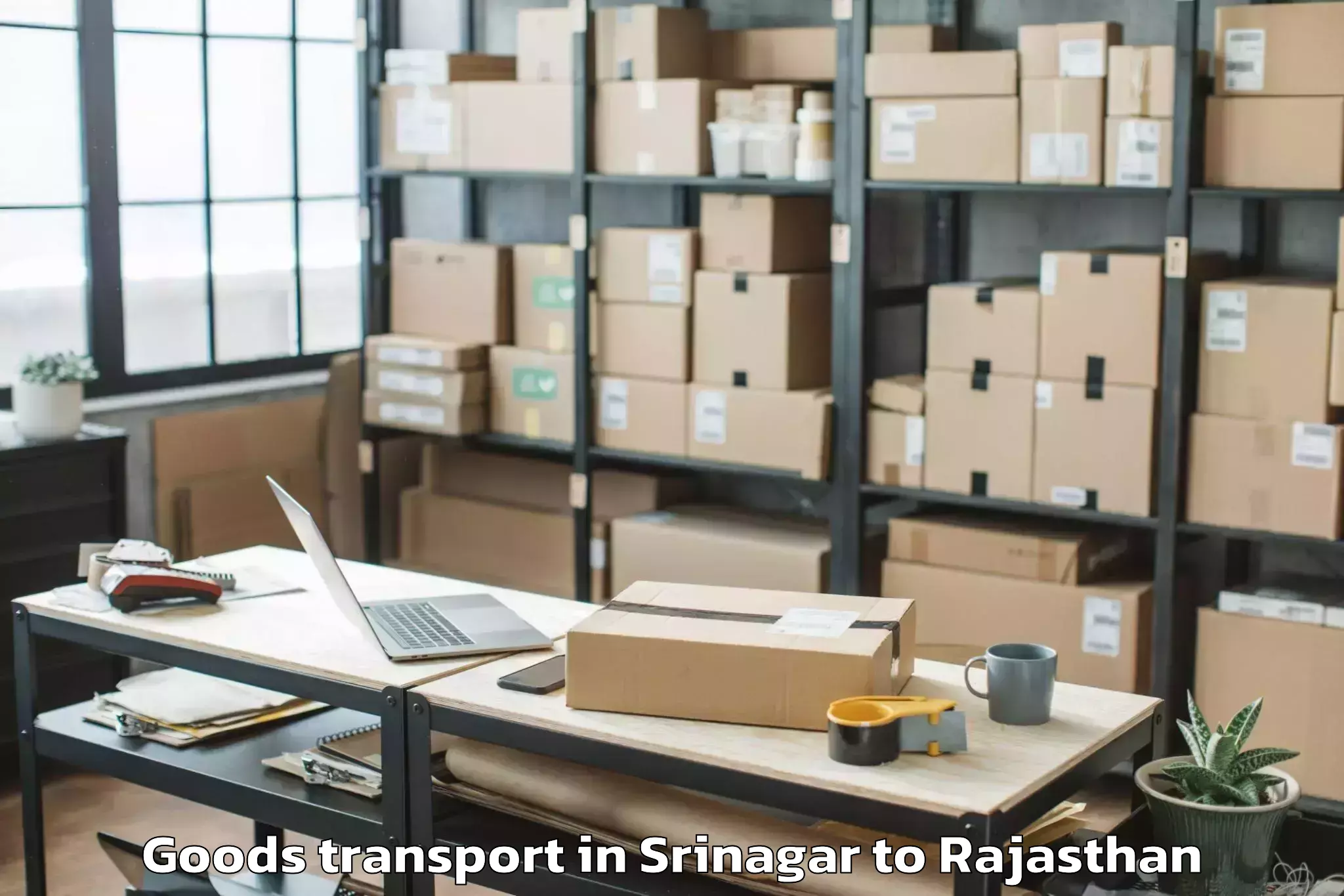 Top Srinagar to Deogarh Rajsamand Goods Transport Available